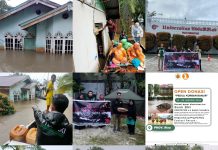 PTBMMKI Wilayah 1 Melakukan Peninjauan Banjir di Kabupaten Pelalawan