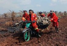Ini Dia Pahlawan Sejati dalam Perang Melawan Karhutla Riau