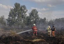 Atasi Karhutla, Satgas Udara Telah Tebar 10 Ton Garam