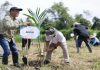 Program SLV, Apical Group Kembali Tanam 2.000 Pohon di Lahan Restorasi Desa Teluk Rumbia