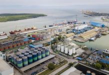 Komitmen Transformasi Berkelanjutan, Pelindo Multi Terminal Ajak Pengguna Jasa Bertumbuh Bersama