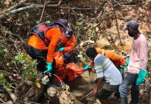 6 Hari tak Pulang, Warga Titian Antui Ditemukan Tewas di Kebun Sawit