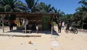 gajah-liar-mengamuk-di-permukiman-r