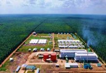 Kontribusi Apical, Wilmar, dan SMAR Naik, Laba TAPG Melesat 65,7%