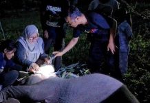 Anak Gajah “Laila” Tak Terselamatkan di Pusat Konservasi Bengkalis