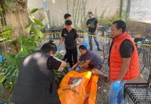 Diduga Bunuh Diri, Pria di Pekanbaru Ditemukan Tewas di Area Cafe