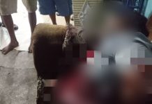 IRT Tewas Ditikam, Diduga Tersinggung Unggahan di FB: Polisi Buru Pelaku