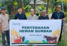 Sambut Idul Adha 1447 H, Apical Dumai Salurkan Hewan Kurban kepada Masyarakat