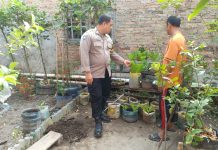 Polsek Dumai Kota Galakkan Pemanfaatan Lahan Pekarangan Dukung Program Ketahanan Pangan