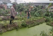 Ketahanan Pangan Berkelanjutan, AIPTU Fani Motivasi Warga Tanam Cabai