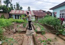 Bhabinkamtibmas Sukajadi Lakukan Pengecekan Ketahanan Pangan Bergizi, Tanam Cabe di Gang Asnar