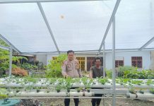 Bhabinkamtibmas Rimba Sekampung Cek Ketahanan Pangan Bergizi, Tanam Selada dan Pakcoy